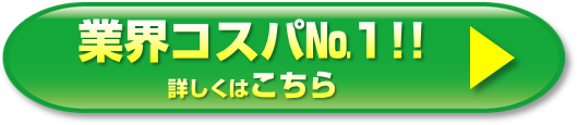 業界コスパNo1